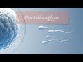 complete explanation of fertilization process | How it happens #reproductivesystem