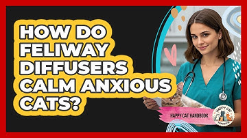 How Do Feliway Diffusers Calm Anxious Cats? - Happy Cat Handbook