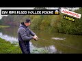 Ein MINI FLUSS voller FISCHE 😱 | spontan auf Raubfisch + GEWINNSPIEL + #livebiss