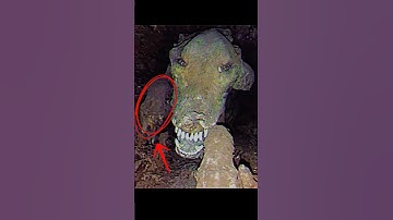 Why Were T-Rex’s Arms So Tiny? It’s Horrifying… 🤮