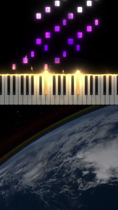 PLAGE COQUILLAGE 🌊