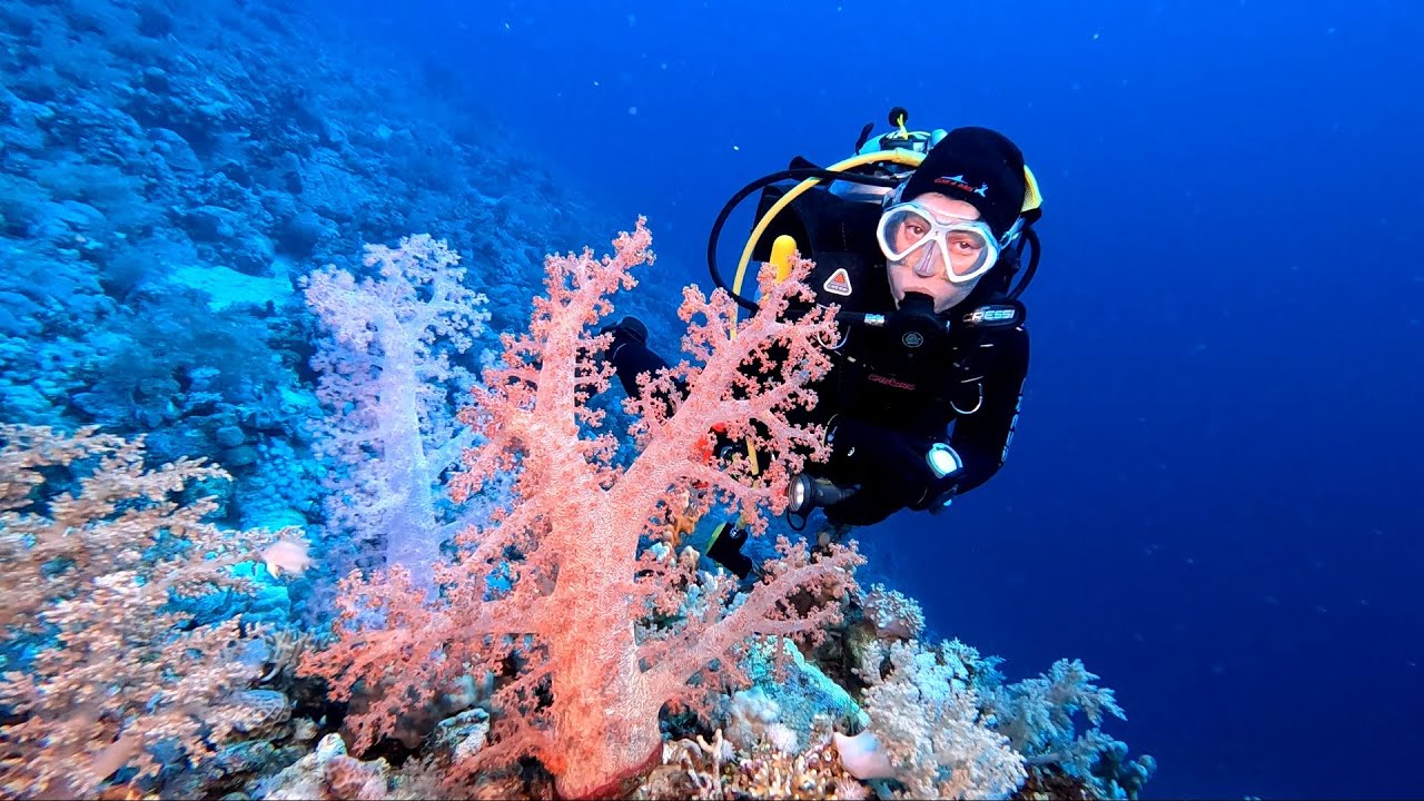 Egipto 2022 Con Suny Travel Diving YouTube