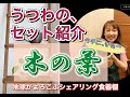 セット紹介【　木の葉　】