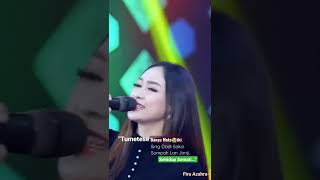 Ageng Music🎶Terbaru "Tumetese banyu moto ikiSing dadi saksi Sumpah lan janji Sehidup semati."👍