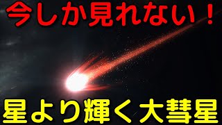 一等星より明るい大彗星が接近中！日本からでも見れる？