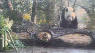 81782103 01e7823bbc4b5fa04f0370019454be0ea2 258