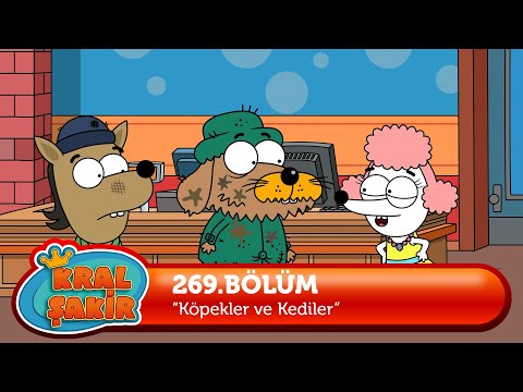 Kral Şakir 269. Bölüm - Kediler Ve Köpekler