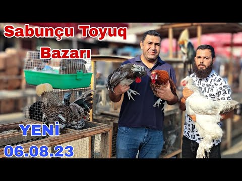 Sabunçu Toyuq Bazarı  6 avqust 2023 @mubarizemintv2271