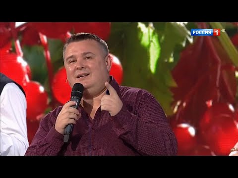 Дмитрий Романов - А калина красная. "Песни от всей души!"