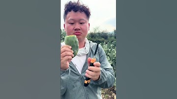 Thumbnail of Can You Really Eat Cactus? Honest Taste Test & Preparation#farming #fruits