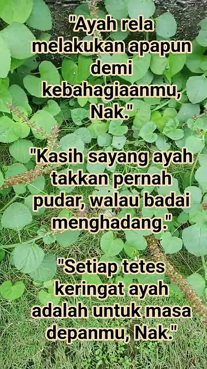 Bikin Haru Kata Kata Bijak Pengorbanan Orang Tua Ayah Kepada Anaknya Penuh Motivasi Nasehat Semangat