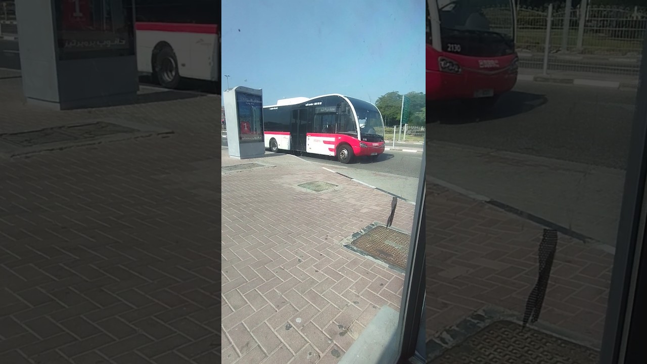 Dubai Creek Park Shorts 37 💖💕💞🇦🇪🎶 