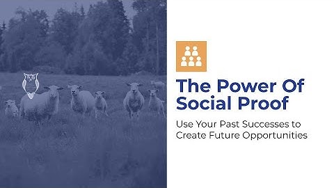 Business Wise Insiders (Virtual Edition!): The Power of Social Proof