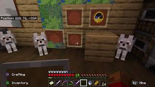 Public Minecraft execution