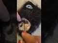 Kozmikus Kártyák - A Hold Pecsétje #live #needlefelting #moon #earthrise