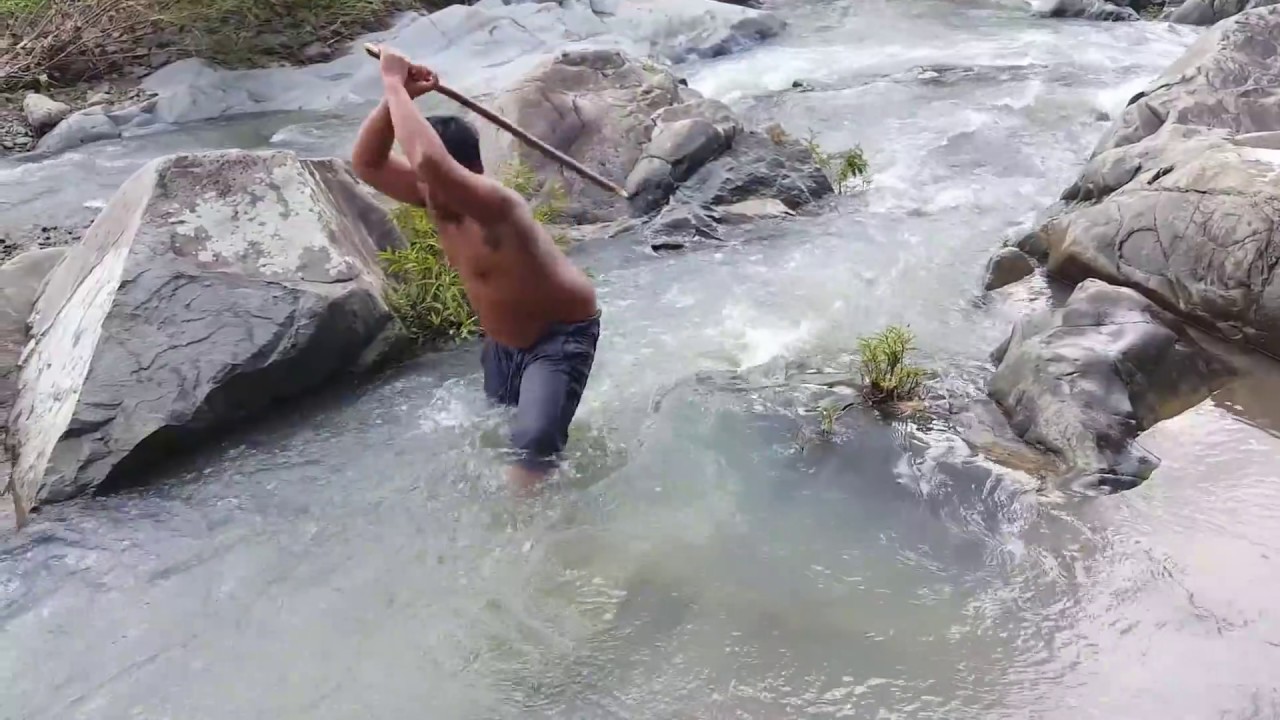 Primitive Technology cook climbing perch in the clay cooking