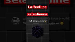 #28 (Bloc d'obsidienne) @maxim_0098 et bcp trop de prns (ChatGPT refait les textures de MC)