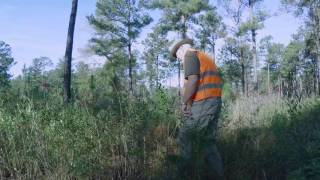 Nov 2015 Quail Hunt   Part 1