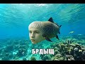 Mr.White — «БРДЫЩ» (2026) ТРЕК #new #командаозвучки #мем #memes #song #трек #trending #черемша#брдыщ