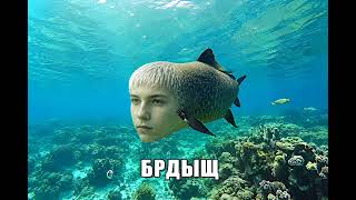 Mr.White — «БРДЫЩ» (2026) ТРЕК #new #командаозвучки #мем #memes #song #трек #trending #черемша#брдыщ