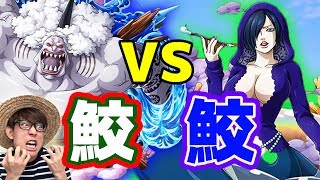 トレクル 予言的中マダムシャーリー 鮫vs鮫 One Piece Youtube トレクル 予言的中マダムシャーリー 鮫vs鮫 One Piece Youtube