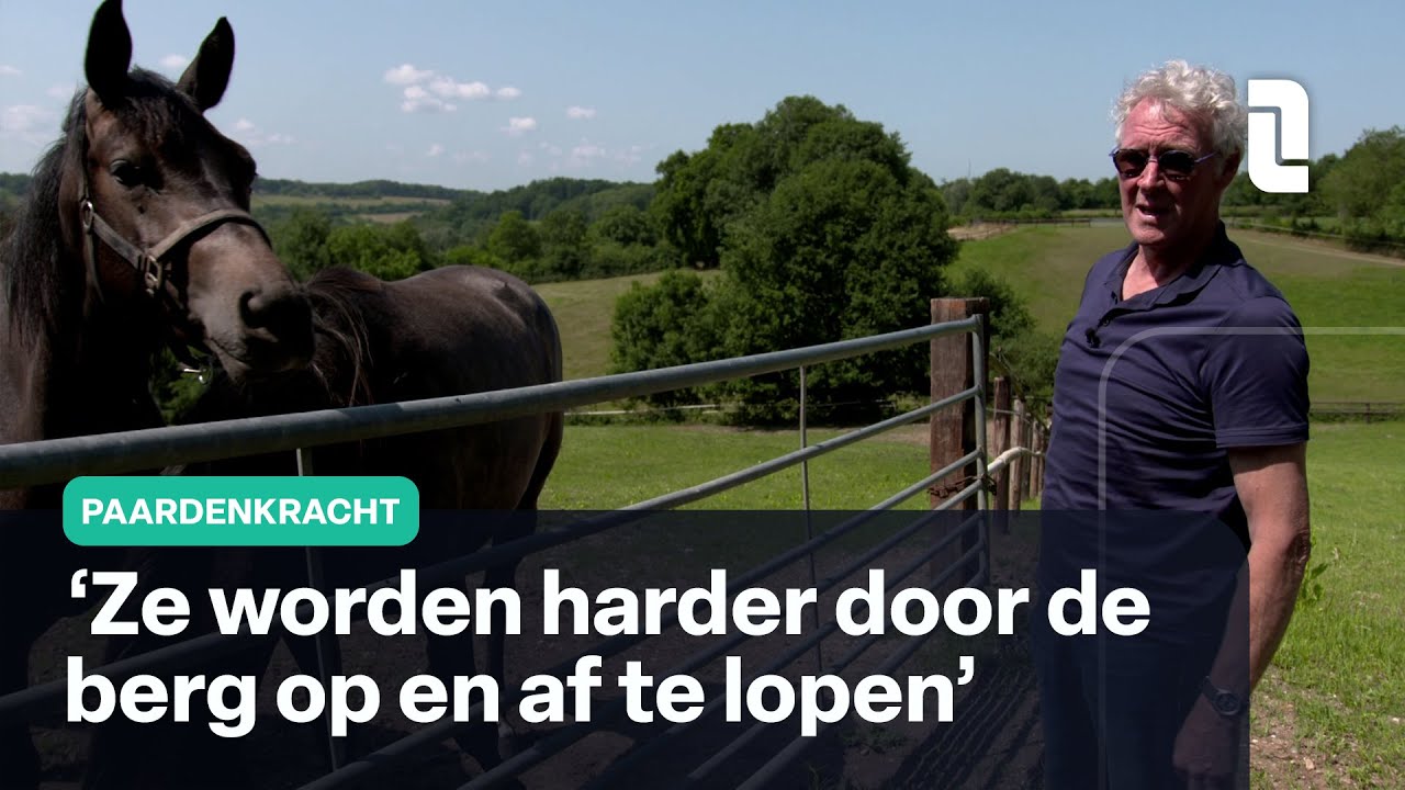 De talenten van Opfokbedrijf Heuvelland | Paardenkracht 🐎