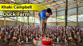 Khaki Campbell Duck Farm | 200 duck farm in closed system | duck farming screenshot 2