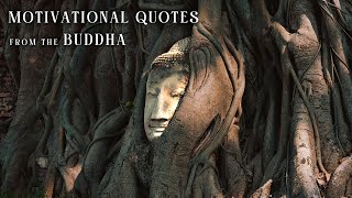 Buddhist Meditation Ambience with Calm Music and Motivational Quotes to Relax, do Yoga and Sleep