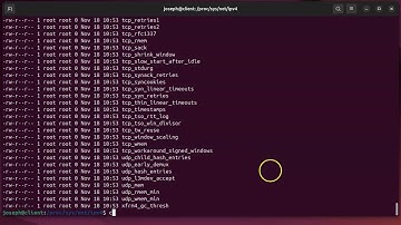 Introduction to the /proc/ directory