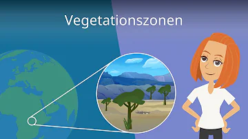 Welche Arten von Vegetation gibt es?