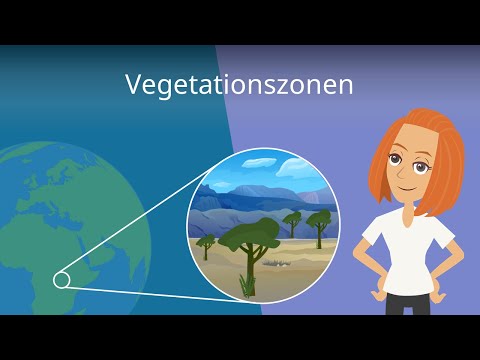 Video: Woher weiß ich, in welcher Klimazone ich lebe?