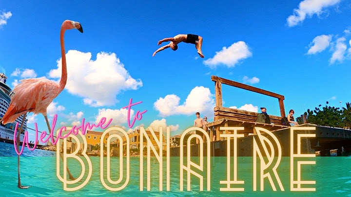 BONAIRE Vacation 2022 | Island Tour | NEVER rent a car from AVIS!!!
