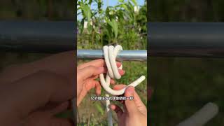 Unravel the Mystery of the Python Knot: A Quick & Easy Guide
