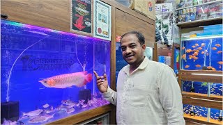 Paroon Shark Fish and Super Red Arowana Fish at Karnataka Aquarium