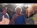 Woman With Dementia Arrested After Hammer Attack on Husband