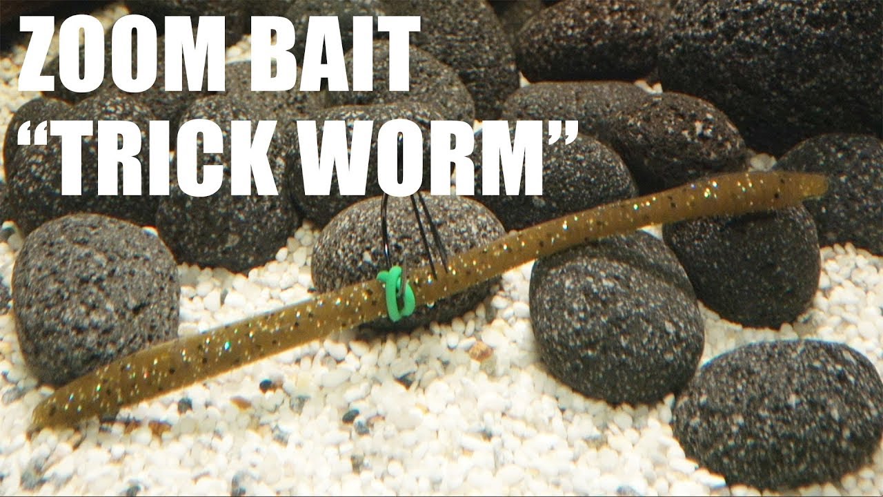 Zoom Bait: Trick Worm! Lure action on a Wacky Rig! Underwater! Full HD 