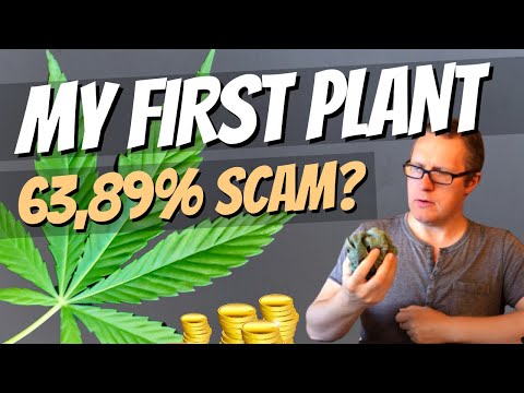 MYFIRSTPLANT ? 63,89% SCAM - Der Schnell-Check + Soll ich einsteigen oder nicht? Du entscheidest!