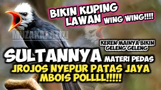 Download Lagu KUPING WING WING!!! SULTAN MATERI PEDAS JROJOS CANTIK || MASTERAN MURAI CUCAK IJO KACER CENDET KONIN MP3 Download Lagu KUPING WING WING!!! SULTAN MATERI PEDAS JROJOS CANTIK || MASTERAN MURAI CUCAK IJO KACER CENDET KONIN MP3