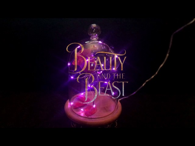 Enchanted Rose Beauty And The Beast 6 Steps With Pictures Instructables