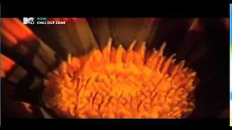 De Phazz - Roses (Video) De Phazz - Roses (Video)