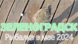 Рыбалка в мае 2024. Камбала из Балтийского моря, приготовленная по рецепту калининградских рыбаков.