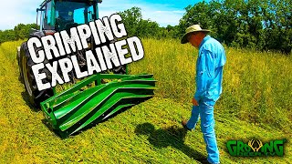 How to Terminate A Standing Food Plot Crop: Crimping Explained @GrowingDeerTV  (631)