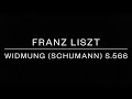 Franz Liszt / Widmung (Schumann) S.566