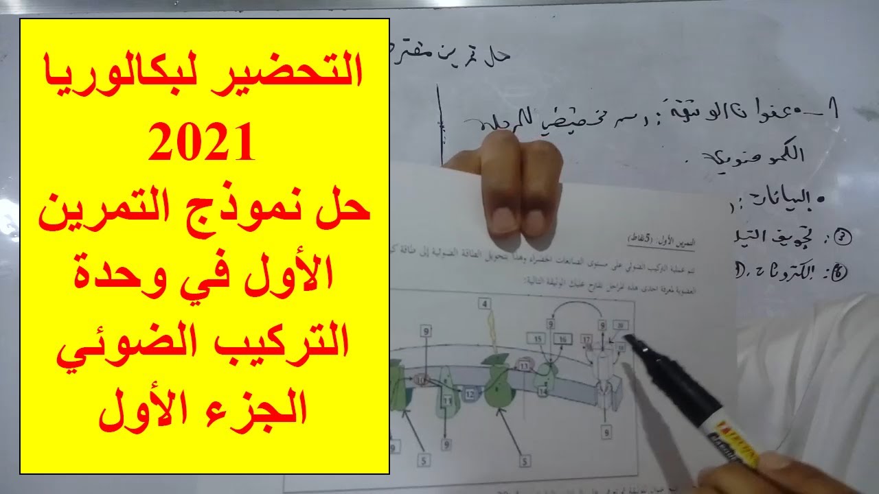 التحضير لبكالوريا 2021
