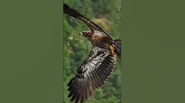 تبارك الله و ما شاء الله صوت يريح القلب و الأعصاب و تلاوة خاشعة رائعة بصيغة مغربية@مجيدوchanel