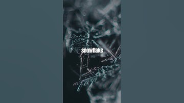 Largest Snowflake : 15 Inches Wide ! #Shorts #Short #Facts