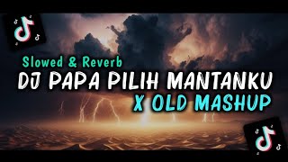DJ Papa Pilih Mantanku x Old Mashup [ Slowed & Reverb ]