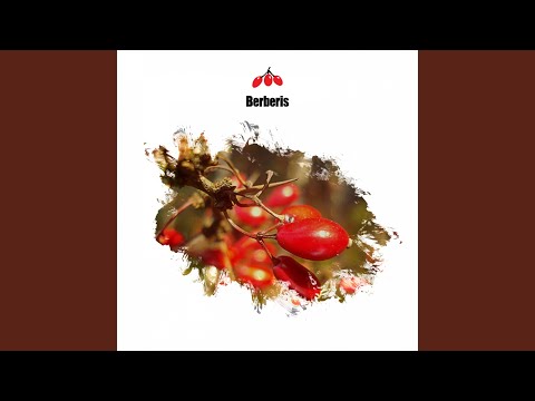 Flow (Original Mix) adlı videoyu YouTube'da izle Flow (Original Mix) adlı videoyu YouTube'da izle
