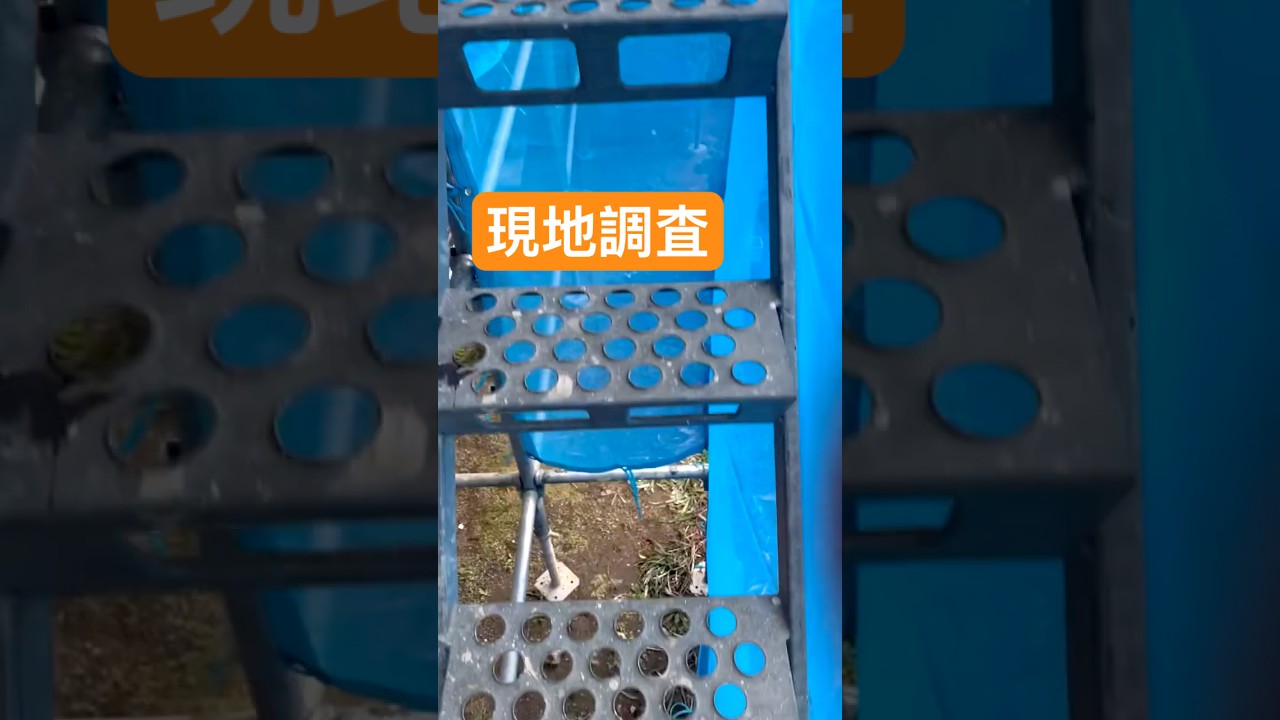 【リフォーム】塗装工事前の軒天修理の現地調査行ってきました👷‍♀️‼️鳥さんの予感です❗️笑 #shortvideo #リフォーム #diy