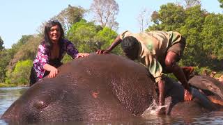 Dubare Elephant Camp Kushalanagar, Coorg | Skyway International Travels